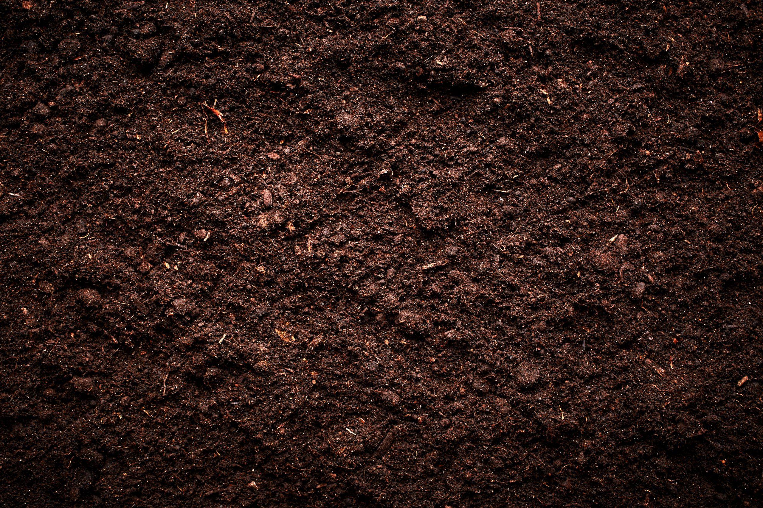 Aerial view of soil