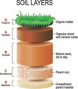 graphic of soil layers showing the importance of organic matter on the top layer