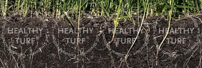 PJC's Healthy Turf Circle depicts the four components of healthy soil for turf.
