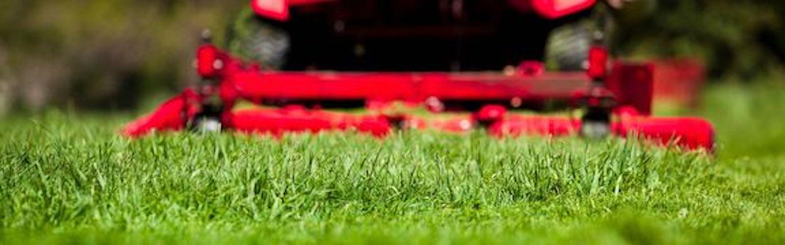 Grass with red lawn mower in the background.