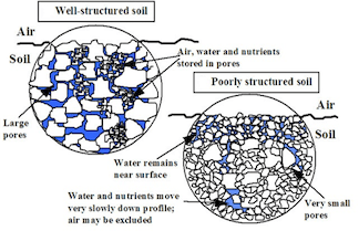 the connection of soil structure and turf, diagram depicting water and air movement through well structured and poorly structured soil