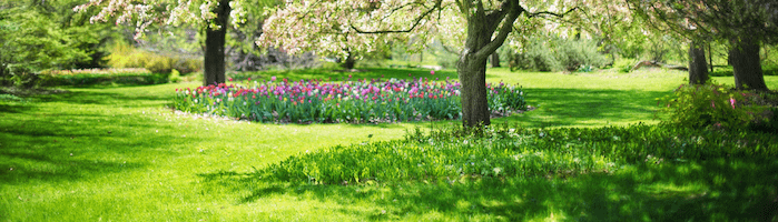 Sunny all-natural lawn with trees and flower beds.