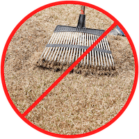 rake on dormant grass with line through it because you should not dethatch your lawn too much