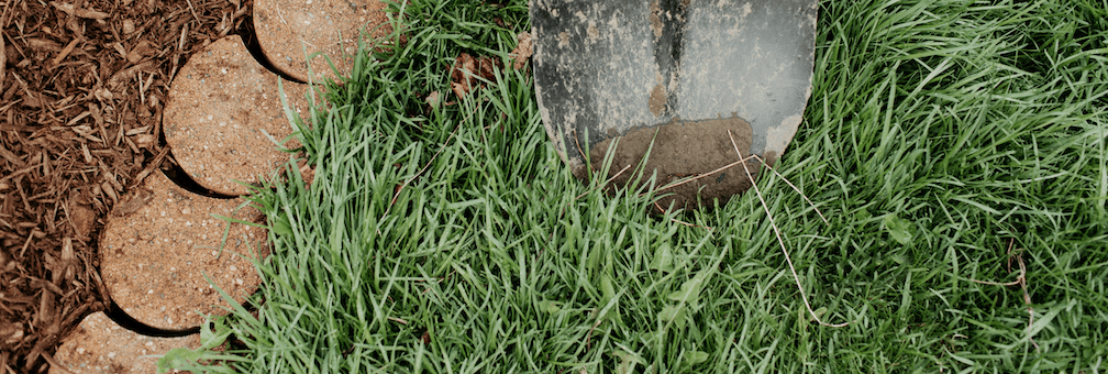 Tip of shovel blade on grass for soil testing of lawn.