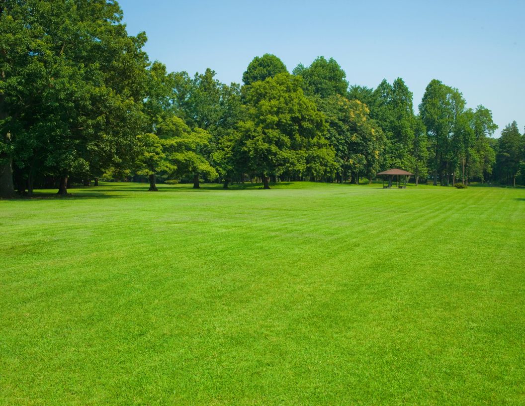 Municipal lawn with trees in background.