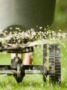 fertilizer spreader dropping fertilizer on grass