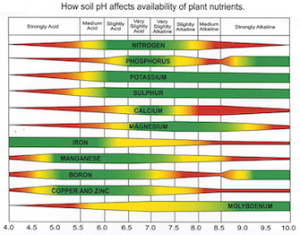 chart detailing  macronutrient and micronutrient availability at soil pH between 6.0 and 7.0