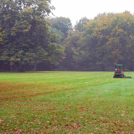 leaves on lawn in the fall with lawn mower tractor in the background mulching leaves