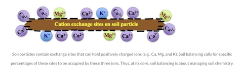 graphic of cation exchange sites on soil particle