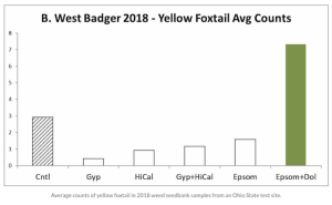 graph of yellow foxtail average counts