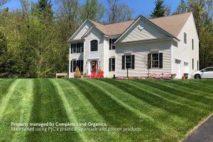 white house with organic lawn that is freshly mowed, with mower stripes