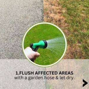 diluting using a garden hose for fixing salt-damaged grass