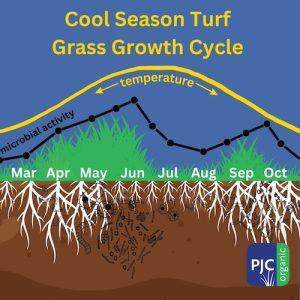 how much roots, tur grass blades, temperaature, and microbial activity fluctuates based on season