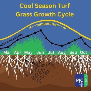 cool season turf growth cycle showing importance of All-Natural Fertilizer for Summer Turf Health