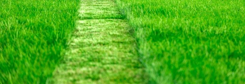 best mowing practices blog header with image of strip of fresh cut grass