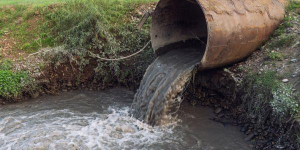 Chemicals in Sewage Sludge Fertilizer blog header showing town sewer water coming out of pipe