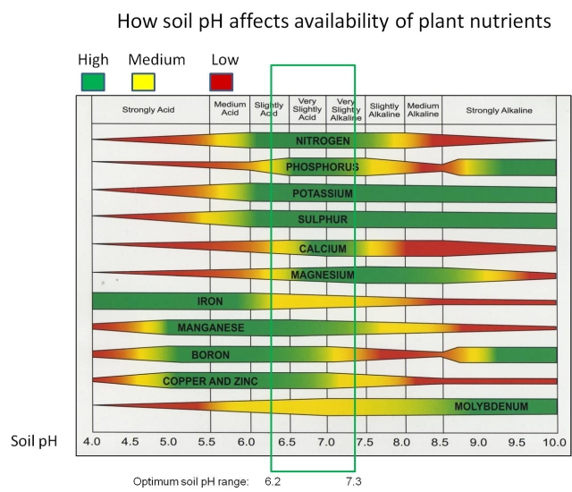 This nutrient availability chart visually shows how pH affects nutrient uptake. 