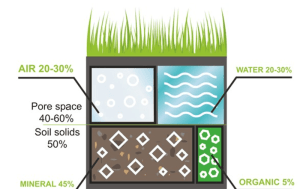 graphic showing aspects of compacted soil for grass growth 