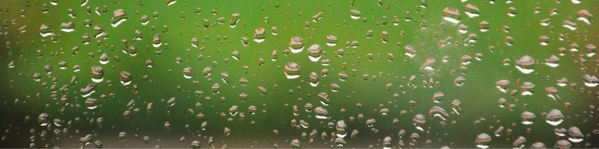 rain on window overlooking lawn for drought update